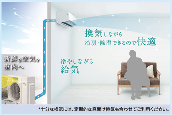 特徴