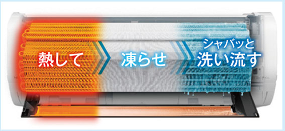 特徴