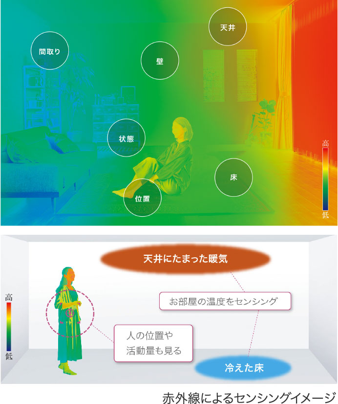 特徴