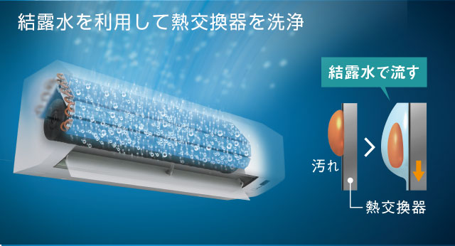 特徴