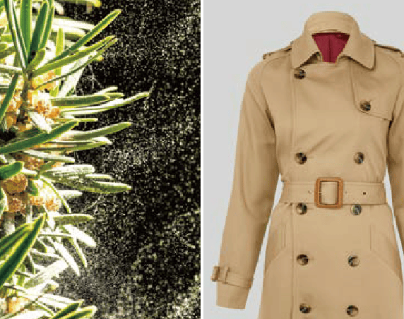 （例）花粉ケアコース